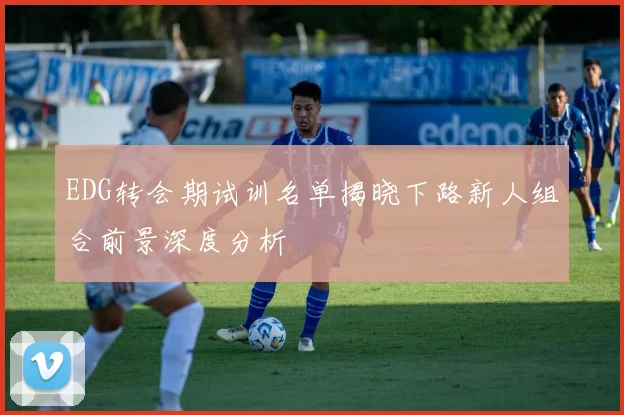 EDG转会期试训名单揭晓下路新人组合前景深度分析